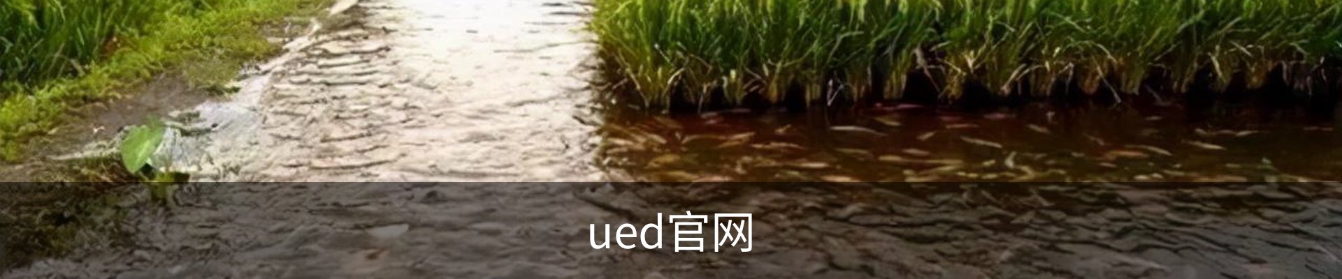 UED·(中国区) - 官网热门体育赛事全覆盖
